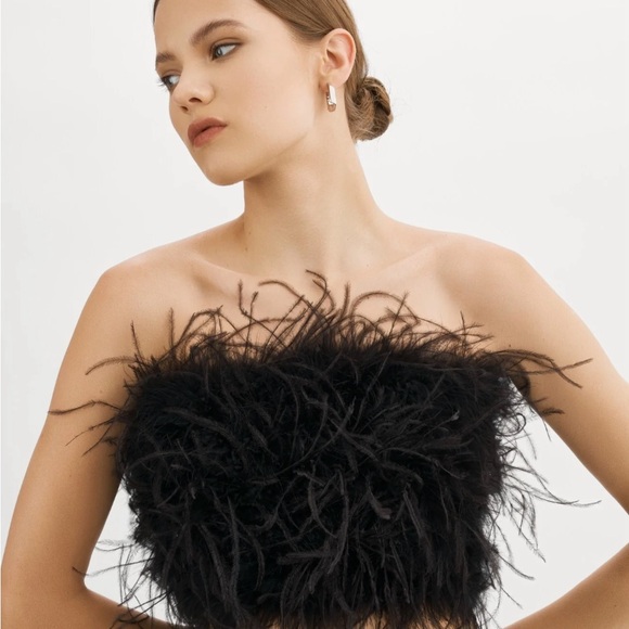 LaMarque ZAINA | FEATHER BUSTIER
Xs - Picture 1 of 6